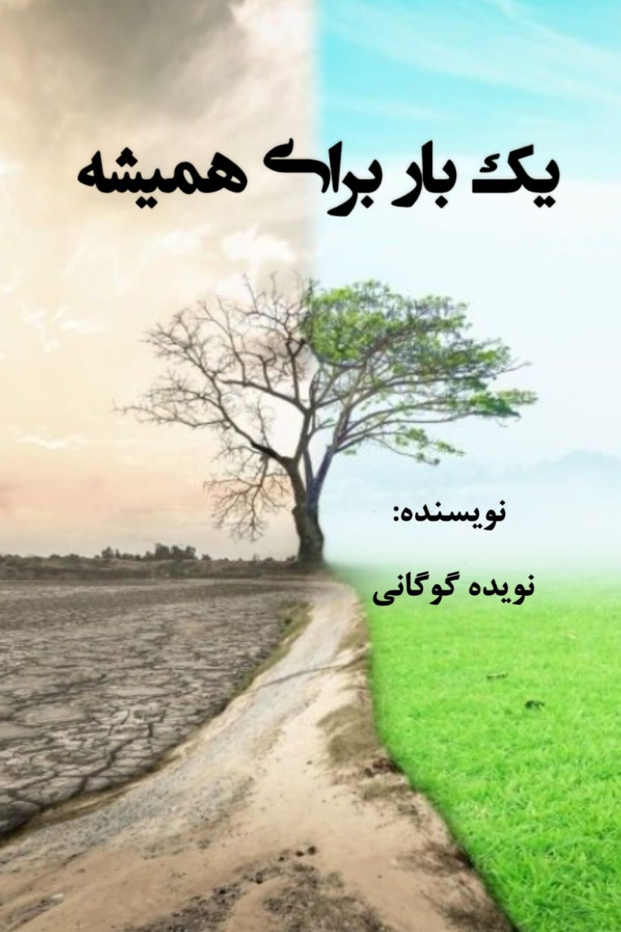 Cover of یک بار برای همیشه