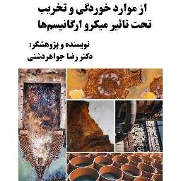 Cover of اطلس  کوچک پاتولوژیک از موارد خوردگی و تخریب تحت تأثیر میکروارگانیسم‌ها